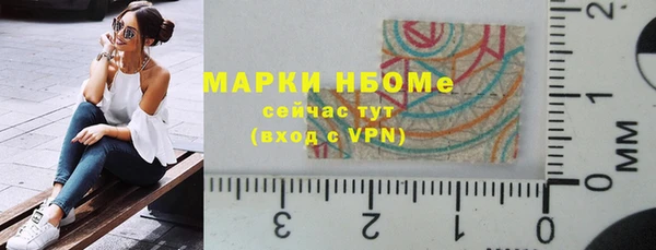 мет Алексин
