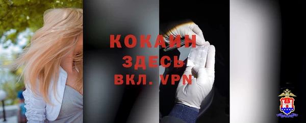 прущие крисы Алексеевка