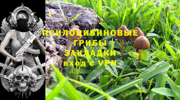 прущие крисы Алексеевка