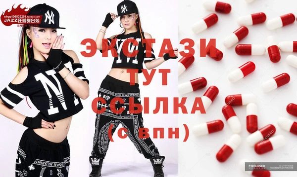 apvp Алзамай