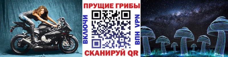 Галлюциногенные грибы мицелий  Псков 