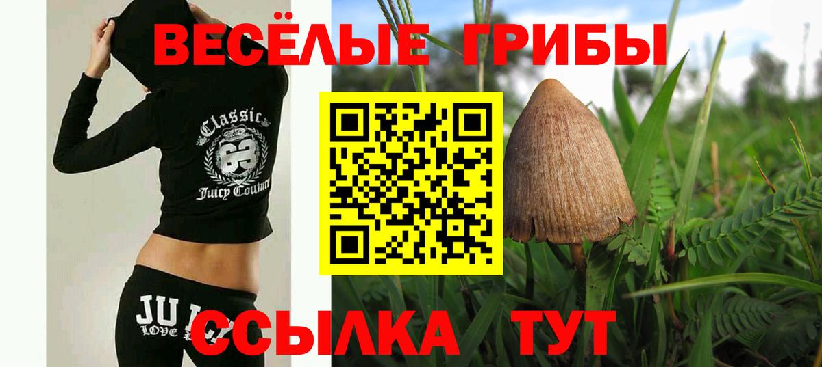 Псилоцибиновые грибы Psilocybine cubensis  Вход с VPN  Псков  Псилоцибиновые грибы прущие грибы 